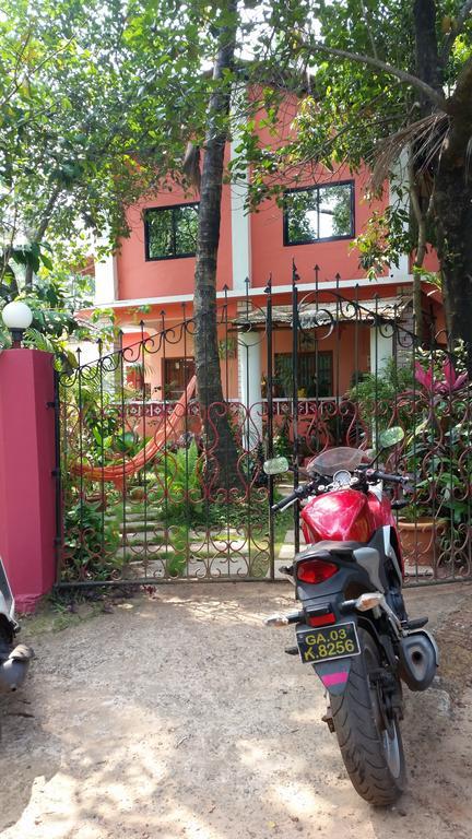 Cozy Dream Apartment Anjuna Rum bild