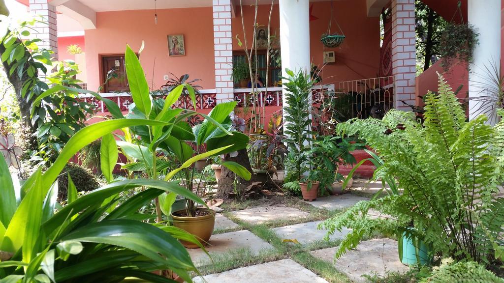 Cozy Dream Apartment Anjuna Rum bild